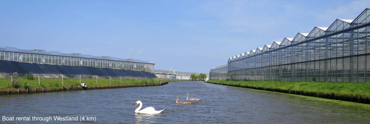 dutchduochalet37 s-Gravenzande Exteriör bild